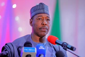 Zulum.jpeg
